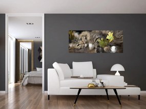 Obraz - Ležiaca mačka (120x50 cm)