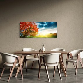 Obraz krajiny zaliate slnečným svitom (120x50 cm)