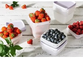 SmartStore Sada plastových dóz Freezer 4 ks, levanduľa, 750 ml, 750 ml
