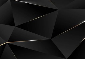 Fototapeta - Čierne geometrické delenie (254x184 cm)