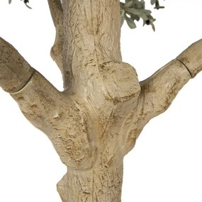 Dekoračný strom olivovník s olivami Olea Tree - 170*150*320 cm