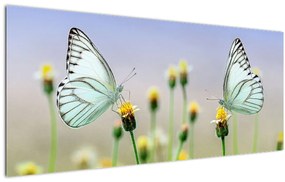 Obraz motýľov na kvetine (120x50 cm)