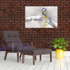 Obraz - Sýkorka modrinka v lese (90x60 cm)