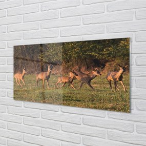 Obraz na akrylátovom skle Deer golf svitania 100x50 cm