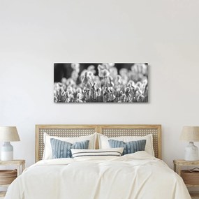 Obraz - Letná lúka (120x50 cm)