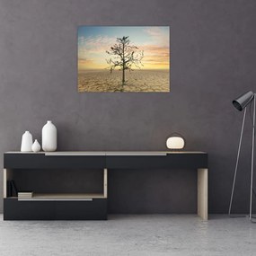 Sklenený obraz - Strom na púšti (70x50 cm)