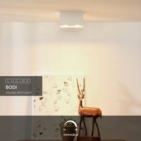 Lucide 09101/02/31 - Bodové svietidlo BODI 2xGU10/50W/230V