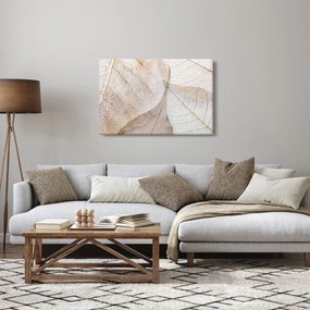 Obraz - Béžové listy (90x60 cm)