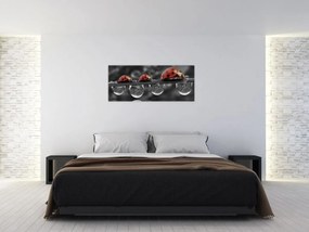 Obraz - Lienka sedembodková, čiernobiela (120x50 cm)