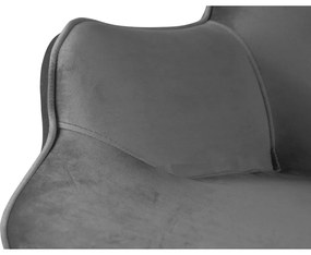 Sivé zamatové kreslo Niko – Ropez