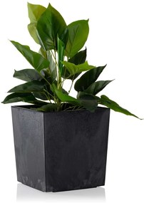 Kvetináč Flore 19x19 cm čierny betón