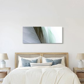 Obraz - Perie, makro (120x50 cm)