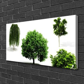 Obraz Canvas Stromy príroda 140x70 cm
