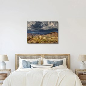 Obraz - kaktusy v prírode (70x50 cm)
