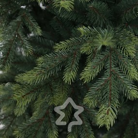 Smrek Himalájsky 180 cm