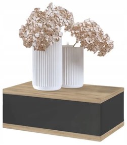 Nočný stolík LOFT - dub craft zlatý/grafitový