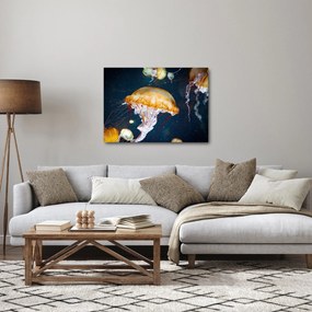 Obraz medúzy (70x50 cm)