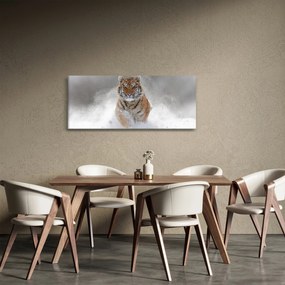 Obraz bežiaceho tigra v snehu (120x50 cm)