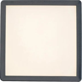 Rabalux 3359 - LED stropné svietidlo do kúpeľne LAMBERT LED/15W/230V IP44