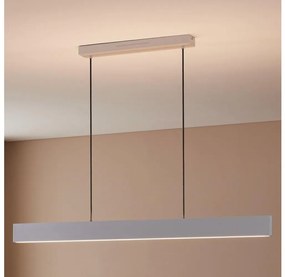 Eglo 31436 - LED RGBW Stmievateľný luster na lanku ANDREAS-Z LED/38W/230V biela