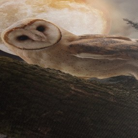 Obraz sovy (120x50 cm)