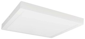 Greenlux LED Stropné svietidlo FENIX LED/32W/230V 3800K 40 cm snehovo biela GXDW399