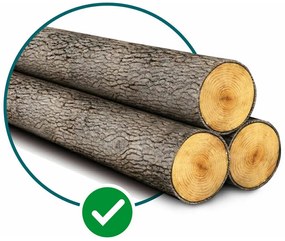 EXTOL INDUSTRIAL reťazová píla 8791920