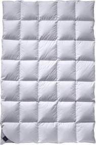XXXLutz CELOROČNÁ PRIKRÝVKA, 140/220 cm, páperie Billerbeck - Prikrývky & vankúše - 003279008302