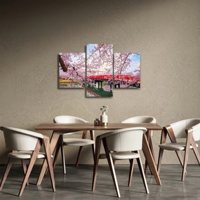 Obraz - Hirosaki, Japonsko (90x60 cm)