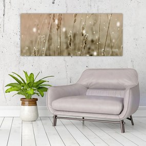Obraz - Harmonická lúka (120x50 cm)