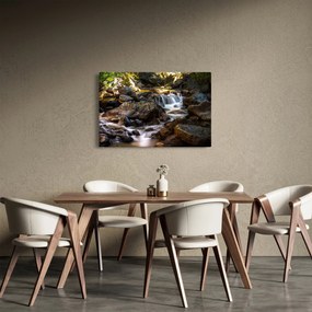 Obraz kamenistého potoku (90x60 cm)