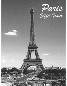 Ceduľa Paris Eiffel Tower