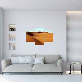 Obraz - Stopy v púšti (90x60 cm)