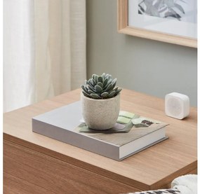 Eglo 428011 - Umelá rastlina v kvetináči CHITOSE 11x8 cm sukulent 428011