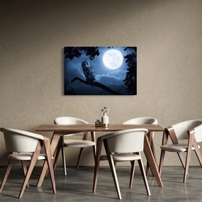 Obraz - Nočná sova (90x60 cm)