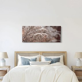 Obraz rastlín (120x50 cm)