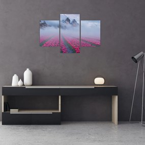 Obraz - Krajina s tulipánovými poľami (90x60 cm)