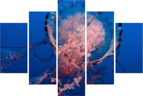 Obraz medúzy (150x105 cm)