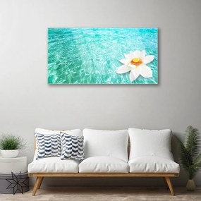 Skleneny obraz Voda kvet umenie 100x50 cm