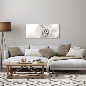 Obraz - Mačka s modrými očami (120x50 cm)