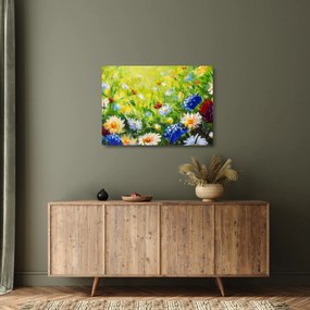 Sklenený obraz rozkvitnutej lúky, olejomaľba (70x50 cm)