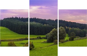 Obraz lúky (90x60 cm)