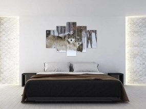 Obraz - Vlci v zime (150x105 cm)