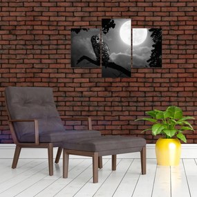 Obraz - Nočná sova, čiernobiela (90x60 cm)
