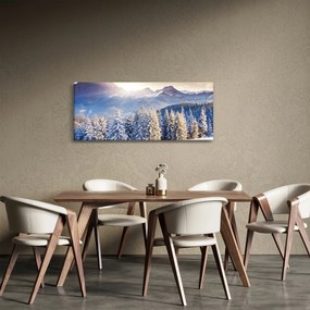 Obraz - Horská krajina v zime (120x50 cm)
