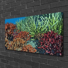 Obraz Canvas Koralový útes príroda 125x50 cm