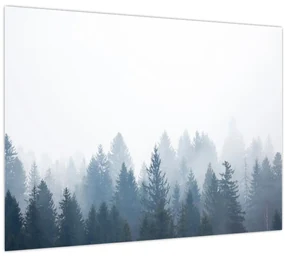 Sklenený obraz - Zahmlený les (70x50 cm)