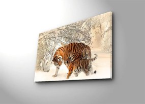 Obraz s LED osvetlením TIGRE VO SNEHU 81 45 x 70 cm