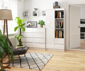 Regál R11 R80 1D 2SZ CLP biely / biely lesk