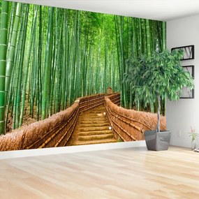 Fototapeta Vliesová Bambusové lesy 416x254 cm